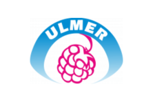 ulmer